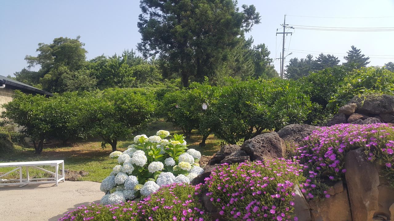 Jeju Mermuri Yerye-dong Exterior photo