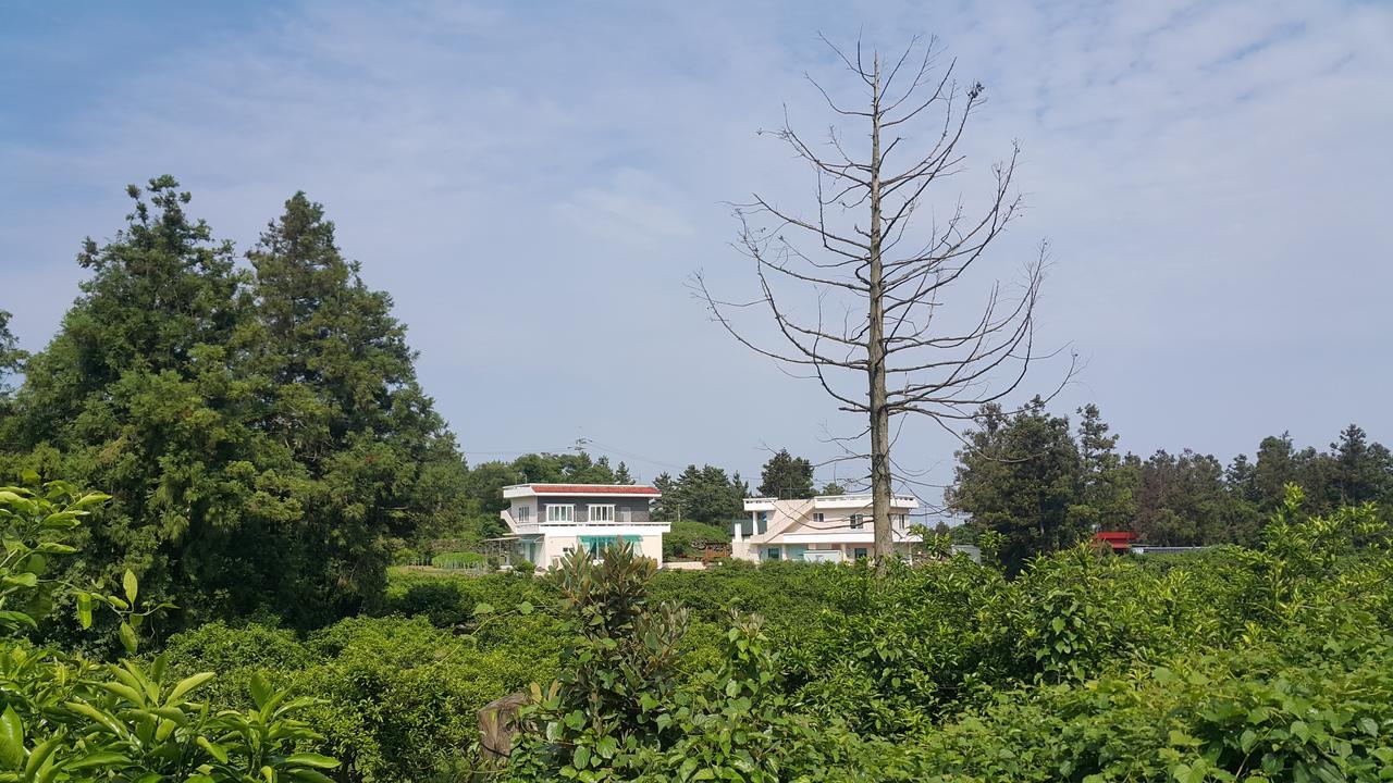 Jeju Mermuri Yerye-dong Exterior photo