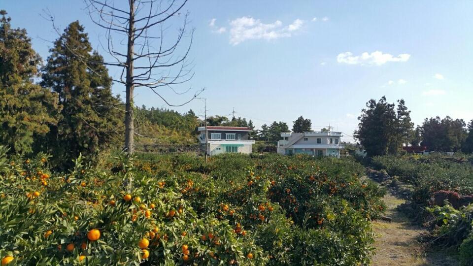 Jeju Mermuri Yerye-dong Exterior photo
